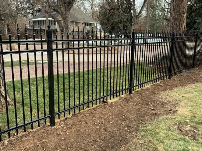 A black metal fence with vertical bars separates a grassy yard from a road and houses in the background. Trees and lawn are visible on both sides of the fence.